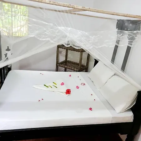 The Dream Garden Bungalow